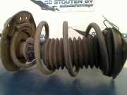 Federbein Links Vorne Renault Megane IV Estate (RFBK) Kombi 5-drs 1.3 TCE 100 16V (H5H-470(H5H-B4)) 2020-07