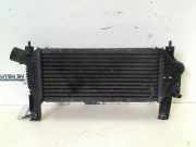 Ladeluftkühler Nissan Navara (D40) Pick-up 2.5 dCi 16V 4x4 (YD25DDTi) 2009-08