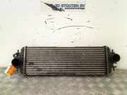 Ladeluftkühler 91166035 Opel Vivaro Van 1.9 DI (F9Q-762) 2002-04