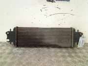 Ladeluftkühler 91166035 Opel Vivaro Van 1.9 DI (F9Q-762) 2002-04