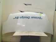 Motorhaube Opel Movano (4A1; 4A2; 4B2; 4B3; 4C2; 4C3) Van 2.5 CDTI (G9U-754(Low power)) 2004-09