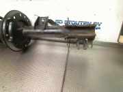 Federbein Links Vorne 51904413 Lancia Ypsilon (312) Schrägheck 0.9 TwinAir 85 (312.A.2000(Euro 5)) 2011-12