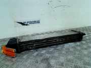 Ladeluftkühler Fiat Doblo Cargo (223) Van 1.3 D 16V Multijet DPF (223.A.9000) 2009-11