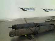 Stoßdämpferset Hinten Mercedes-Benz CLS (C219) Limousine 320 CDI 24V (OM642.920) 2006-08