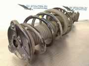 Federbein Rechts Vorne A4473204538 Mercedes-Benz Vito (447.6) Van 2.2 119 CDI 16V BlueTEC (OM651.950) 2018-05