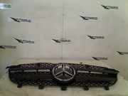 Grill A90688003 Mercedes-Benz Sprinter 3,5t (906.63) Van 319 CDI,BlueTEC V6 24V (OM642.992) 2009-08