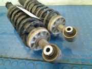 Federbein Links Hinten + RECHTS ACHTER Peugeot 508 (8D) Limousine 2.0 BlueHDi 150 16V (DW10FD(AHX)) 2016-01