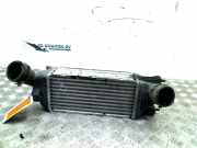 Ladeluftkühler 9645682880 Peugeot 407 (6D) Limousine 1.6 HDi 16V (DV6TED4/FAP(9HZ)) 2004-05