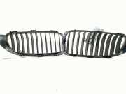 Grill 2 * NIER BMW 4 serie Gran Coupe (F36) Liftback 430d 3.0 24V (N57-D30A) 2016-09