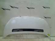 Motorhaube Fiat Scudo (270) Van 2.0 D Multijet (DW10BTED4(RHR)) 2007-06