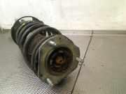 Federbein Rechts Vorne AP3118045AF Ford B-Max (JK8) Gro?raumlimousine 1.0 EcoBoost 12V 100 (SFJB(Euro 5)) 2016