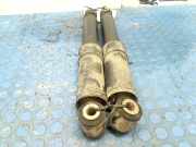 Stoßdämpferset Hinten Renault Kangoo Express (FW) Van ZE (5AM-400) 2012-04