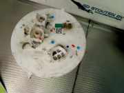 Kraftstoffpumpe KS2921006470 Toyota Hilux V/VI Pick-up 2.4 D4D-F 16V 4x4 (2GD-FTV) 2018-08