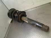 Federbein Rechts Vorne BMW 3 serie Touring (F31) Kombi 316i 1.6 16V (N13-B16A) 2013-09