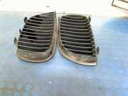 Grill VOOR 22405910 BMW 1 serie (E87/87N) Schrägheck 5-drs 116i 1.6 16V (N45-B16A) 2007-01