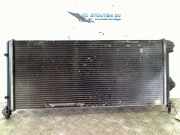 Radiator Fiat Doblo Cargo (223) Van 1.3 D 16V Multijet DPF (223.A.9000) 2008-02
