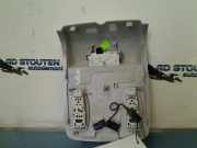 Innenbeleuchtung 969803013R Renault Megane IV (RFBB) Schrägheck 5-drs 1.7 Blue dCi 150 (R9N-401(R9N-A4)) 2020