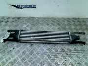 Ladeluftkühler Fiat Grande Punto (199) Schrägheck 1.3 JTD Multijet 16V (199.A.2000) 2006-03