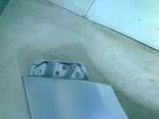 Kotfl?gel Rechts Vorne Opel Agila (B) Gro?raumlimousine 1.0 12V (K10B(Euro 4; Euro 5)) 2013-03