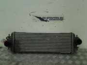 Ladeluftkühler Nissan Primastar Van 1.9 dCi 80 (F9Q-762) 2003-04