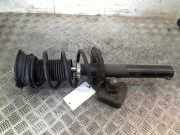 Federbein Links Vorne Volkswagen Golf VII (AUA) Schrägheck e-Golf (EAZA) 2018-11 EAZA