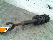 Federbein Links Vorne Volkswagen Passat Variant (3B6) Kombi 2.0 20V (ALT(Euro 4)) 2005-01 ALT(Euro 4)