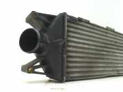 Ladeluftk?hler Iveco New Daily IV Van 35C18V, 35C18V/P, 35S18V, 35S18V/P (F1CE0481HA) 2009-01