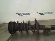 Federbein Rechts Vorne 2q0413031bt Volkswagen Polo VI (AW1) Schrägheck 5-drs 1.0 TSI 12V (DKLA) 2019-04 DKLA