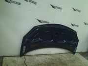 Motorhaube Renault Twingo II (CN) Schrägheck 3-drs 1.2 (D7F-800(Euro 4)) 2008-02
