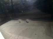 Tür Links Vorne Skoda Rapid Spaceback Kombi 1.2 TSI (CBZA) 2015-02