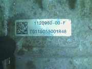 Getriebe Automatik TG119055001R48 Tesla Model 3 Limousine Long Range AWD 75 kWh (3D3) 2019-03