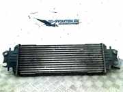 Ladeluftkühler Nissan Primastar Bus 1.9 dCi 80 (F9Q-762) 2003-06