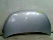 Motorhaube Hyundai i10 (F5) Schrägheck 1.1i 12V (G4HG) 2010-01