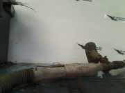 Lenkgetriebe 7G913A500AK Ford Mondeo IV Wagon Kombi 2.3 16V (SEBA(Euro 4)) 2008-10