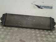 Ladeluftkühler Renault Master II (FD/HD) Van 2.2 dCi 16V (G9T-722) 2003-06