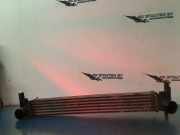 Ladeluftk?hler R4642004 Seat Ibiza IV (6J5) Schr?gheck 5-drs 1.2 TDI Ecomotive (CFWA) 2011-05