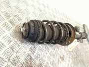 Federbein Rechts Vorne Fiat Punto Evo (199) Schrägheck 1.3 JTD Multijet 85 16V (199.B.4000(Euro 5)) 2012-05