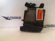 Ladeluftkühler 0281002399 Volkswagen Polo IV (9N1/2/3) Schrägheck 1.4 TDI 75 (AMF) 2003-08 AMF