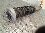 Federbein Rechts Hinten 335266605 BMW 5 serie (E60) Limousine 520i 24V (M54-B22(226S1)) 2004-01