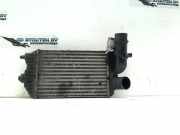 Ladeluftkühler Fiat Ducato (243/244/245) Bus 2.8 JTD (8140.43S) 2001-04