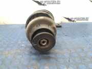 Federbein Links Vorne 543020059r Renault Wind (EN/E4) Cabrio 1.2 16V TCE (D4F-782) 2010-08