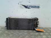 Ladeluftkühler 874964GH Peugeot Partner Van 1.6 HDI 75 (DV6BUTED4(9HT)) 2006-07