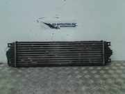 Ladeluftkühler Renault Master II (JD) Bus 2.8 dTi (S9W-702) 1999-05