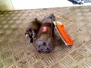 Anlasser 2280008930 Suzuki Liana (ERC/ERD) Schrägheck 1.6 MPi 16V (M16A) 2003-01