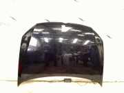 Motorhaube Volkswagen Polo V (6R) Schr?gheck 1.2 12V (CGPB(Euro 5)) 2011-11 CGPB(Euro 5)