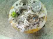 Kraftstoffpumpe Hyundai i10 (F5) Schrägheck 1.1i 12V (G4HG5) 2011-06