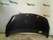 Motorhaube Opel Meriva Gro?raumlimousine 1.4 Turbo 16V ecoFLEX (B14NEL(Euro 6)) 2014-04