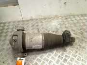 Federbein Links Hinten Porsche Cayenne SUV 3.2 V6 24V (M48.10) 2004-05