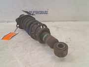 Federbein Links Hinten Toyota Prius (NHW20) Liftback 1.5 16V (1NZ-FXE) 2006-05