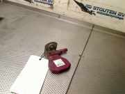 Antenne TELEFOON L A 4M0035507 Audi A3 Sportback (8VA/8VF) Schrägheck 5-drs 1.5 35 TFSI 16V (DADA) 2019